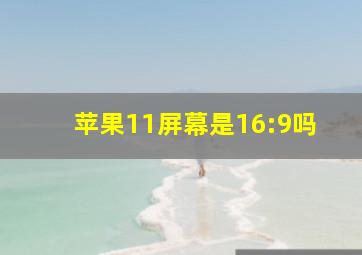 苹果11屏幕是16:9吗