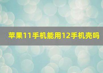 苹果11手机能用12手机壳吗