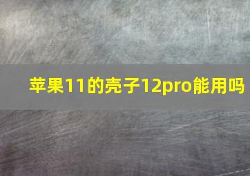 苹果11的壳子12pro能用吗