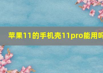 苹果11的手机壳11pro能用吗