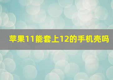 苹果11能套上12的手机壳吗