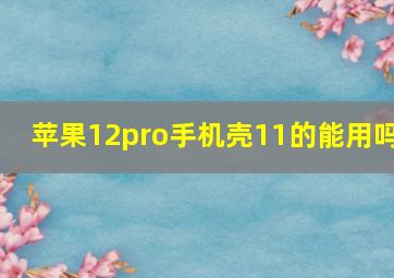 苹果12pro手机壳11的能用吗