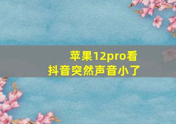 苹果12pro看抖音突然声音小了