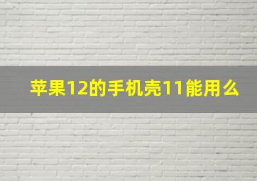 苹果12的手机壳11能用么