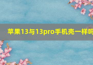 苹果13与13pro手机壳一样吗