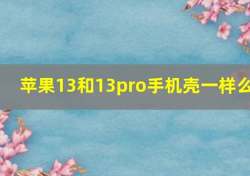 苹果13和13pro手机壳一样么