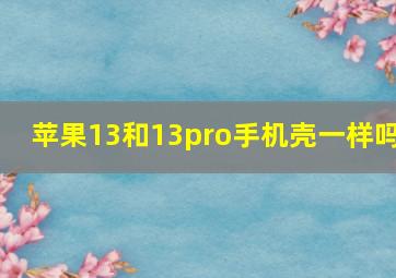 苹果13和13pro手机壳一样吗