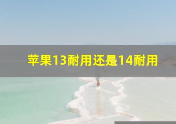 苹果13耐用还是14耐用