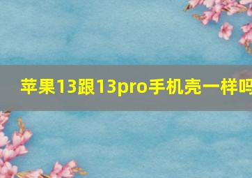 苹果13跟13pro手机壳一样吗