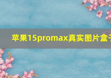 苹果15promax真实图片盒子