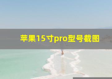 苹果15寸pro型号截图