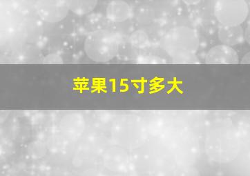 苹果15寸多大