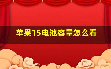 苹果15电池容量怎么看