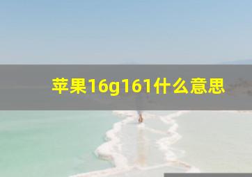 苹果16g161什么意思