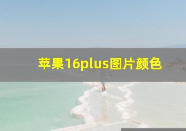 苹果16plus图片颜色