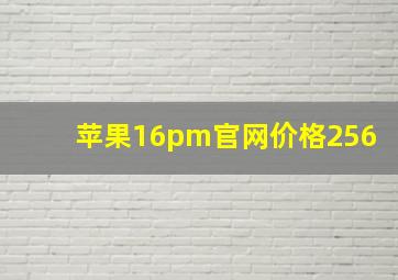 苹果16pm官网价格256