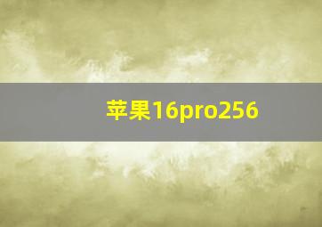 苹果16pro256