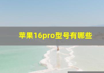 苹果16pro型号有哪些