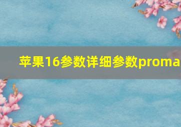 苹果16参数详细参数promax