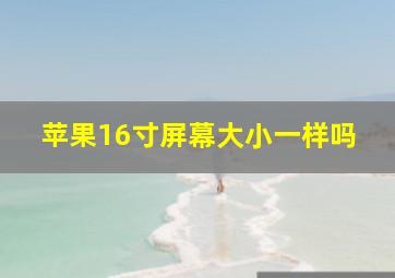 苹果16寸屏幕大小一样吗