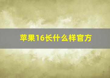 苹果16长什么样官方