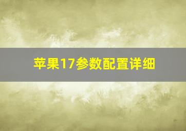 苹果17参数配置详细