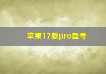 苹果17款pro型号