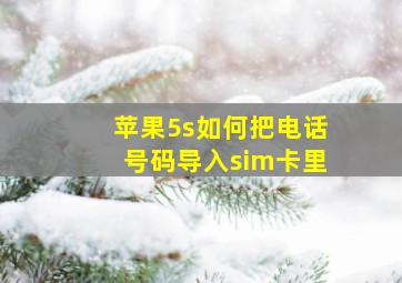 苹果5s如何把电话号码导入sim卡里