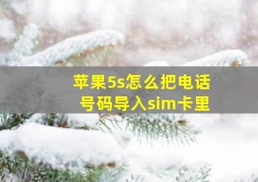 苹果5s怎么把电话号码导入sim卡里