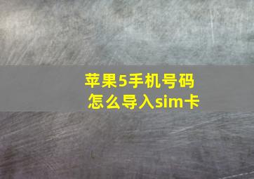 苹果5手机号码怎么导入sim卡