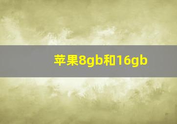 苹果8gb和16gb