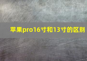 苹果pro16寸和13寸的区别