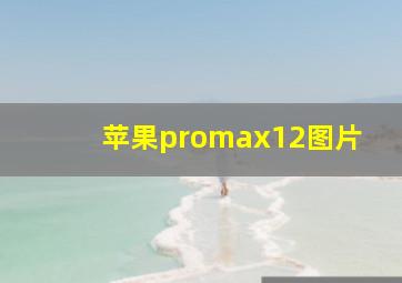 苹果promax12图片