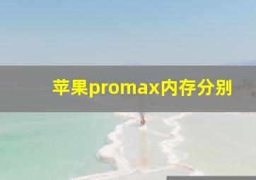 苹果promax内存分别