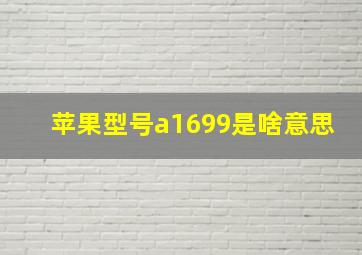 苹果型号a1699是啥意思