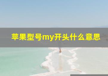 苹果型号my开头什么意思