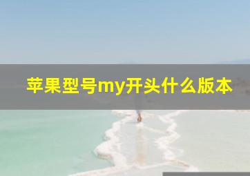 苹果型号my开头什么版本