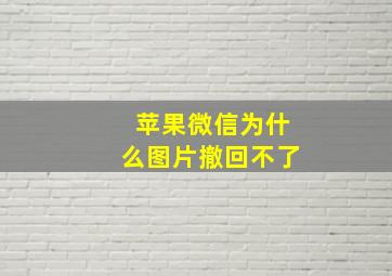 苹果微信为什么图片撤回不了