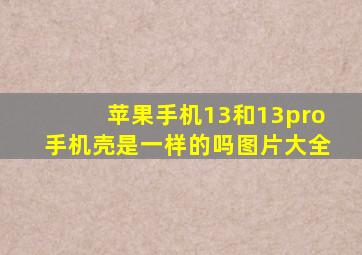 苹果手机13和13pro手机壳是一样的吗图片大全