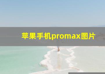 苹果手机promax图片