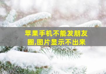 苹果手机不能发朋友圈,图片显示不出来