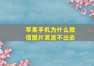 苹果手机为什么微信图片发送不出去