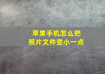 苹果手机怎么把照片文件变小一点