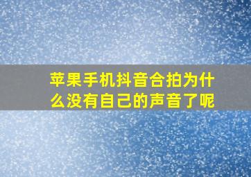 苹果手机抖音合拍为什么没有自己的声音了呢