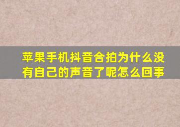 苹果手机抖音合拍为什么没有自己的声音了呢怎么回事