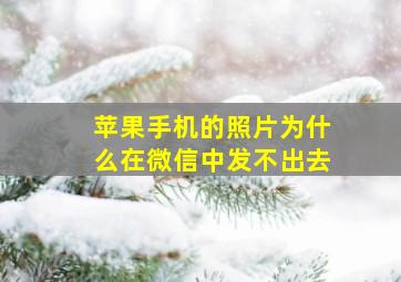 苹果手机的照片为什么在微信中发不出去