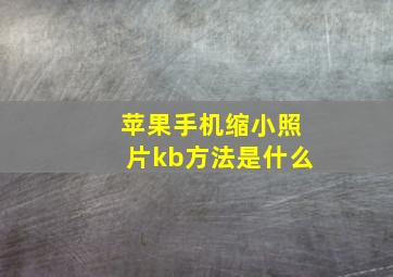 苹果手机缩小照片kb方法是什么