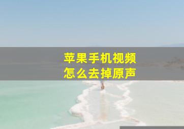 苹果手机视频怎么去掉原声