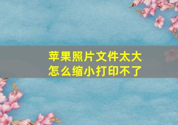 苹果照片文件太大怎么缩小打印不了