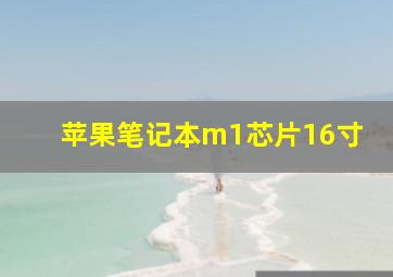 苹果笔记本m1芯片16寸